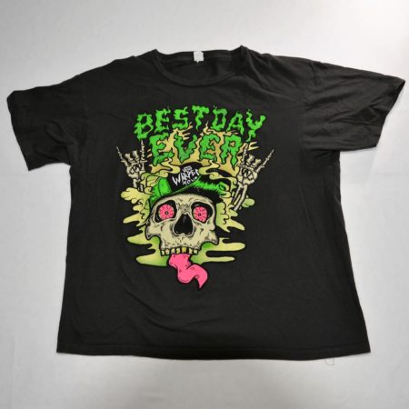 Warped Tour Festival
