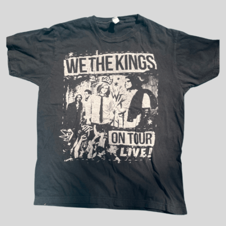 We The Kings