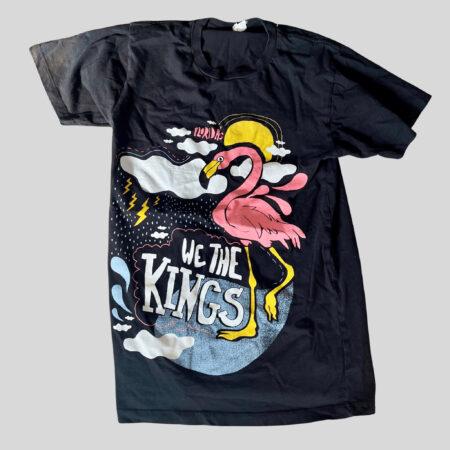 We The Kings
